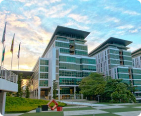 马来西亚泰莱大学